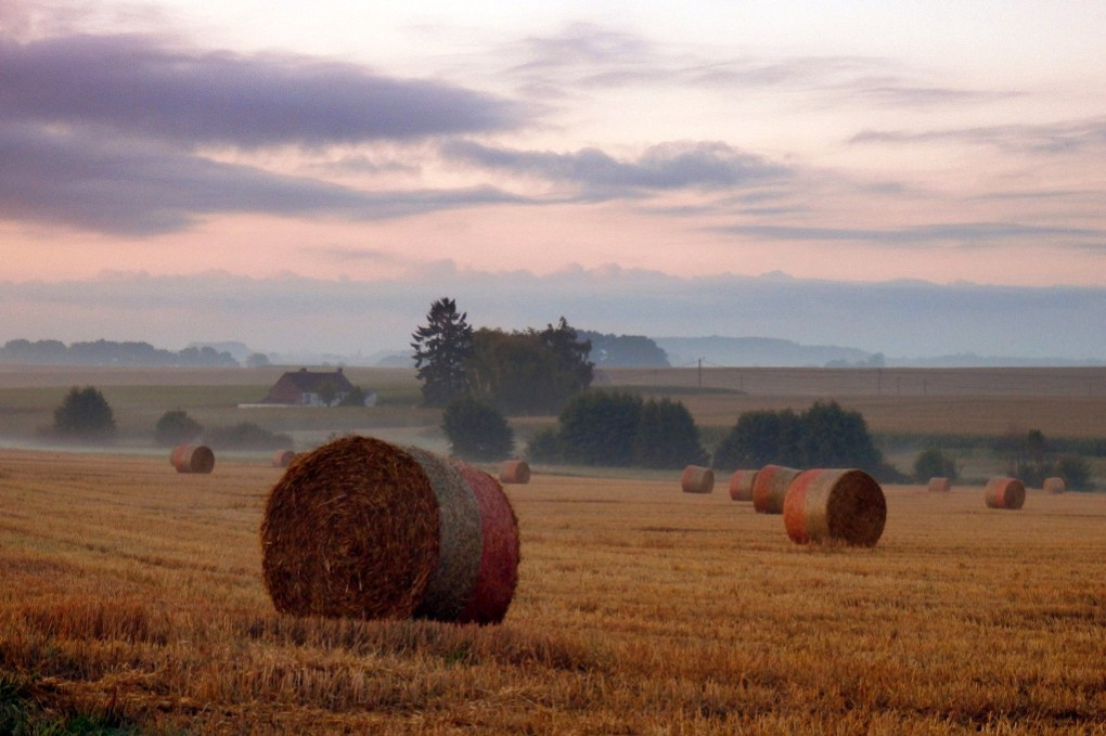 Hay rolls at dawn misty morning
